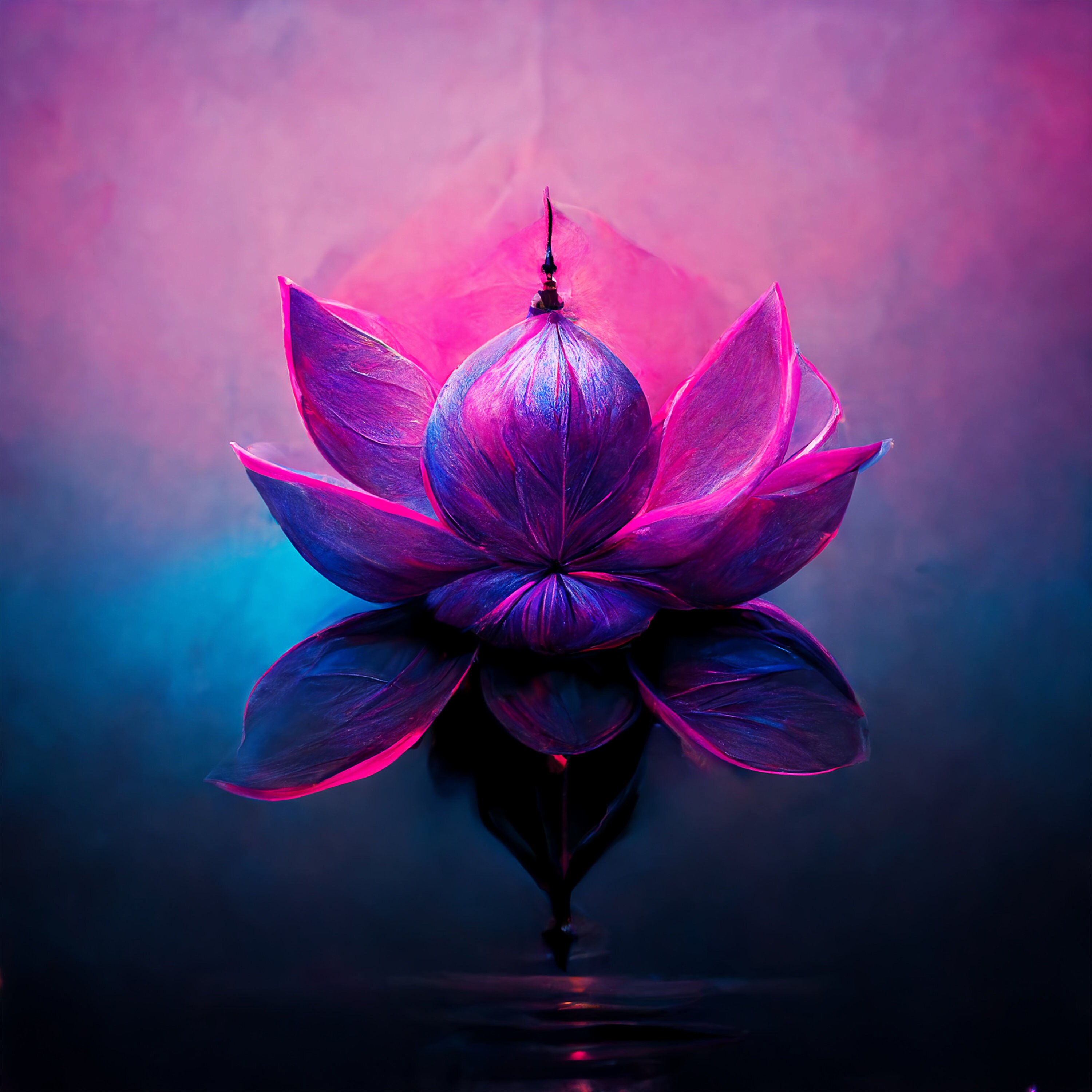 Lotus Printable Wall Art Set of 4 Lotus Flowers Wall Art Etsy