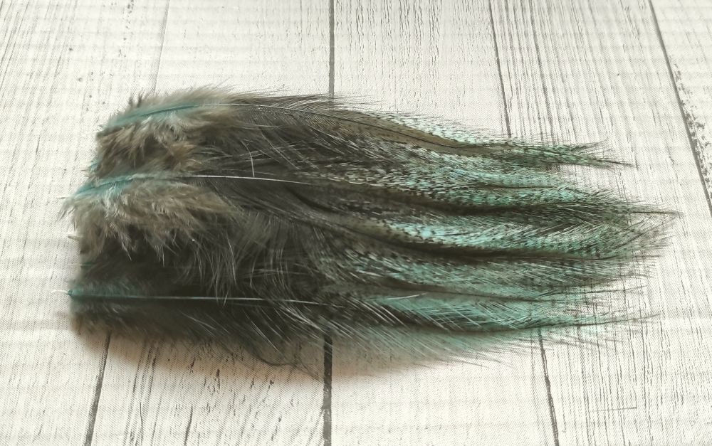 12 Penne Di Gallo Leon / Pardo Per Costruzione Mosche - Piume Per Fly Tying