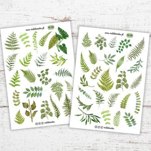 Sticker set with branches, botany, floral stickers, plants, nature, leaf stickers for journal /2145