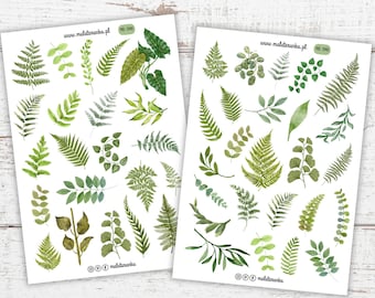 Sticker set with branches, botany, floral stickers, plants, nature, leaf stickers for journal /2145