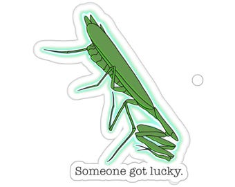 Può includere: Un adesivo fustellato con un'illustrazione di una mantide religiosa verde con un contorno luminoso verde chiaro. Sotto l'insetto, il testo "Someone got lucky." è stampato in un carattere serif nero. Il design ha un bordo bianco.