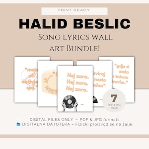 Op de afbeelding: Digitale kunstbundel met songteksten van Halid Beslic. De afbeelding toont zeven PDF- en JPG-bestanden met verschillende ontwerpen en tekst. De tekst "HALID BESLIC" wordt weergegeven in grote, vette letters. Het algehele ontwerp heeft een neutraal kleurenschema.