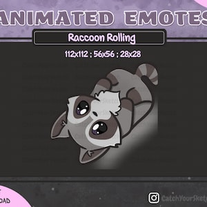 ANIMATED Cute Raccoon Rolling Emote  | For Twitch, Discord and more
