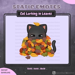 Black Cat Lurking in Fall Leaves Emote – Autumn Chibi Animal for Twitch and Discord