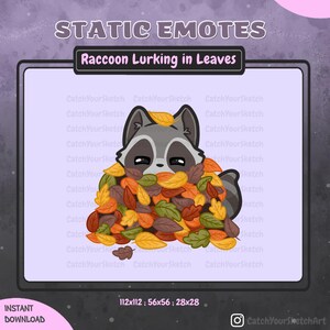 Raccoon Lurking in Fall Leaves Emote – Autumn Fall Chibi Animal for Twitch and Discord