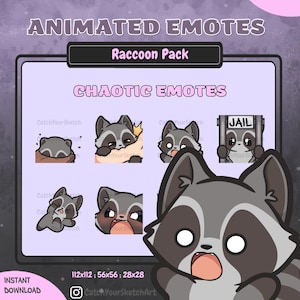 ANIMATED Chaotic Emote Pack Raccoon Emotes | GIF Twitch & Discord (Digital Download)
