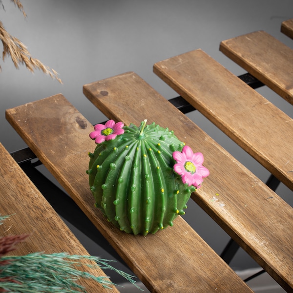 Bougie cactus | Bougie fleur de cactus | Décoration mignonne de cactus | Cadeaux pour les amoureux des plantes | Bougie Cactus 3D | Bougies végétales | Mini décor de cactus