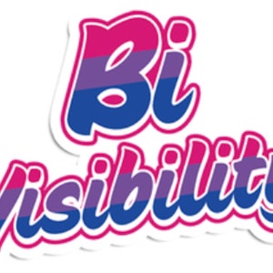 Bi Visibility Bisexual Sticker | LBGTQ+ Pride | Queer Subtle | LGBT Gift | Birthday Gifts | Bisexuality | Purple Blue Pink | Flag | Stickers