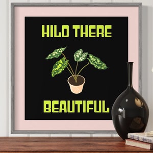 File There Beautiful
