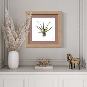 Puede incluir: Una impresi&oacute;n enmarcada de una planta de aloe vera verde en una maceta marr&oacute;n sobre un fondo blanco. El marco es de madera marr&oacute;n claro con un paspart&uacute; rosa claro. La impresi&oacute;n est&aacute; en un estante blanco con un jarr&oacute;n blanco con hierba de la pampa seca, un cuenco de metal dorado y dos figuritas de caballos de metal dorado.