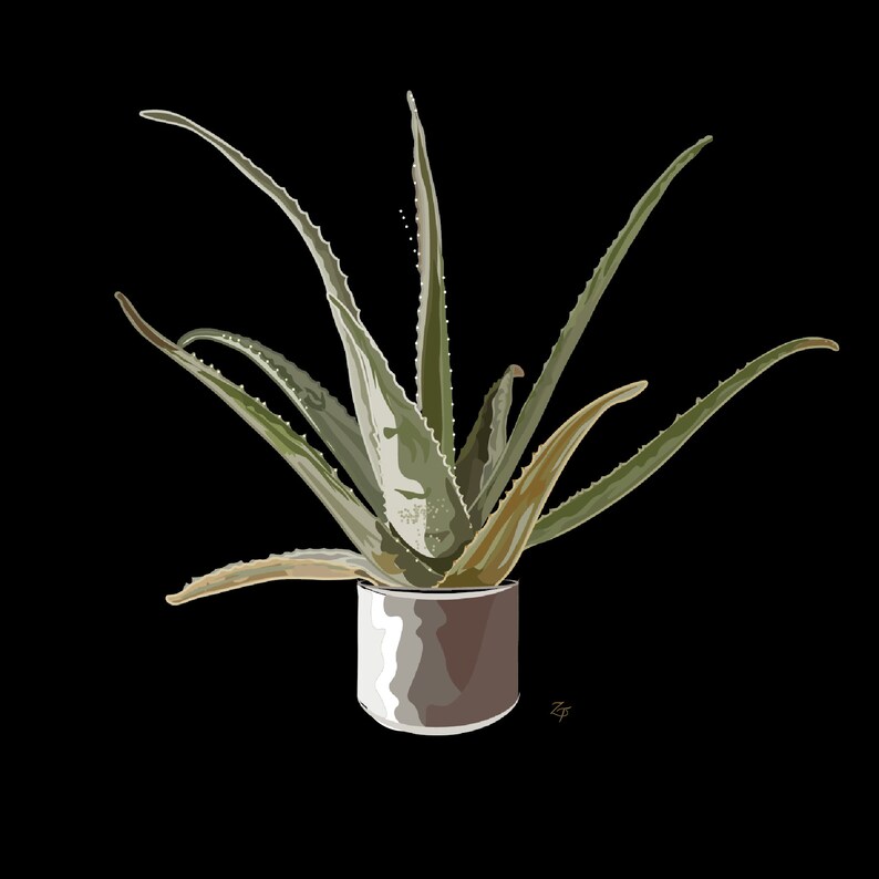 Puede incluir: Una planta de aloe vera verde en una maceta marr&oacute;n con un esmalte blanco. La planta tiene hojas largas y espinosas.