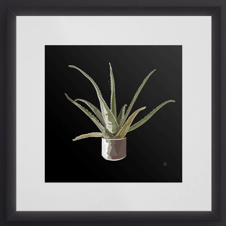 Puede incluir: Una planta de aloe vera verde en una maceta marr&oacute;n sobre un fondo negro.