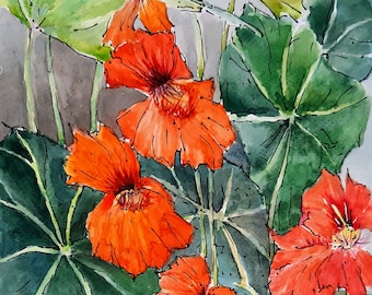 Watercolor Nasturtium Original, unique, plant picture, 18 x 24 cm