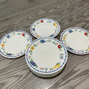 Vintage Pfaltzgraff Summer Garden 10.5in Dinner Plates- Set of 10