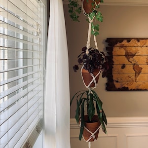 May include: Three potted plants hanging from a macrame plant hanger. The plants are in terracotta pots and are hanging from a white macrame hanger. The plants are in a room with white walls and a window with blinds.