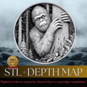 Dieptekaart Big Foot-munten | Lasergraveren van STL- en png-bestanden (digitale download)