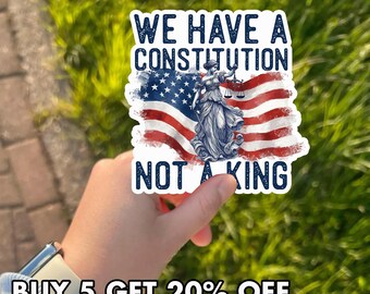 Social Justice Sticker, We Have A Constitution Sticker, No Kings Protest Sticker, Feminist Equality Sticker, Pro Democracy Sticker