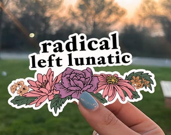 Political Protest Sticker, Resist Activism Sticker, Radical Left Funny Sticker, Progressive Sticker, Democrat Car Magnet, Liberal Gift Idea