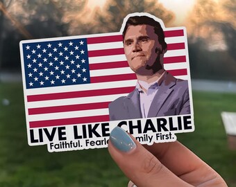 Ch. Kirk Freedom Decal, Freedom of Speech Vinyl Decal, Satire Protest Sticker, Activist Free Speech