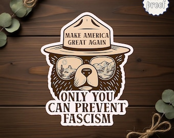 Anti Fascism Sticker, Die-Cut Magnet, Liberal Activist Vinyl Decal, Resist Fascism, Anti-Hate Quote, Positive Activist Bumper