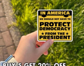 Protect Democracy Sticker, No Kings Protest Sticker, Activist Vinyl Decal, Freedom and Justice Sticker, Resist for Democracy, Political Art
