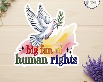Big Fan of Human Rights Sticker, Retro Rainbow Equality Vinyl Decal, Radicalized by Decency Quote, Inclusive Liberal Activism Gift