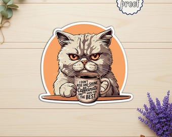 I Don’t Rise and Shine Sticker, Funny Coffee Quote Vinyl Decal, Coffee Lover Humor Sticker for Laptop, Tumbler, Water Bottle