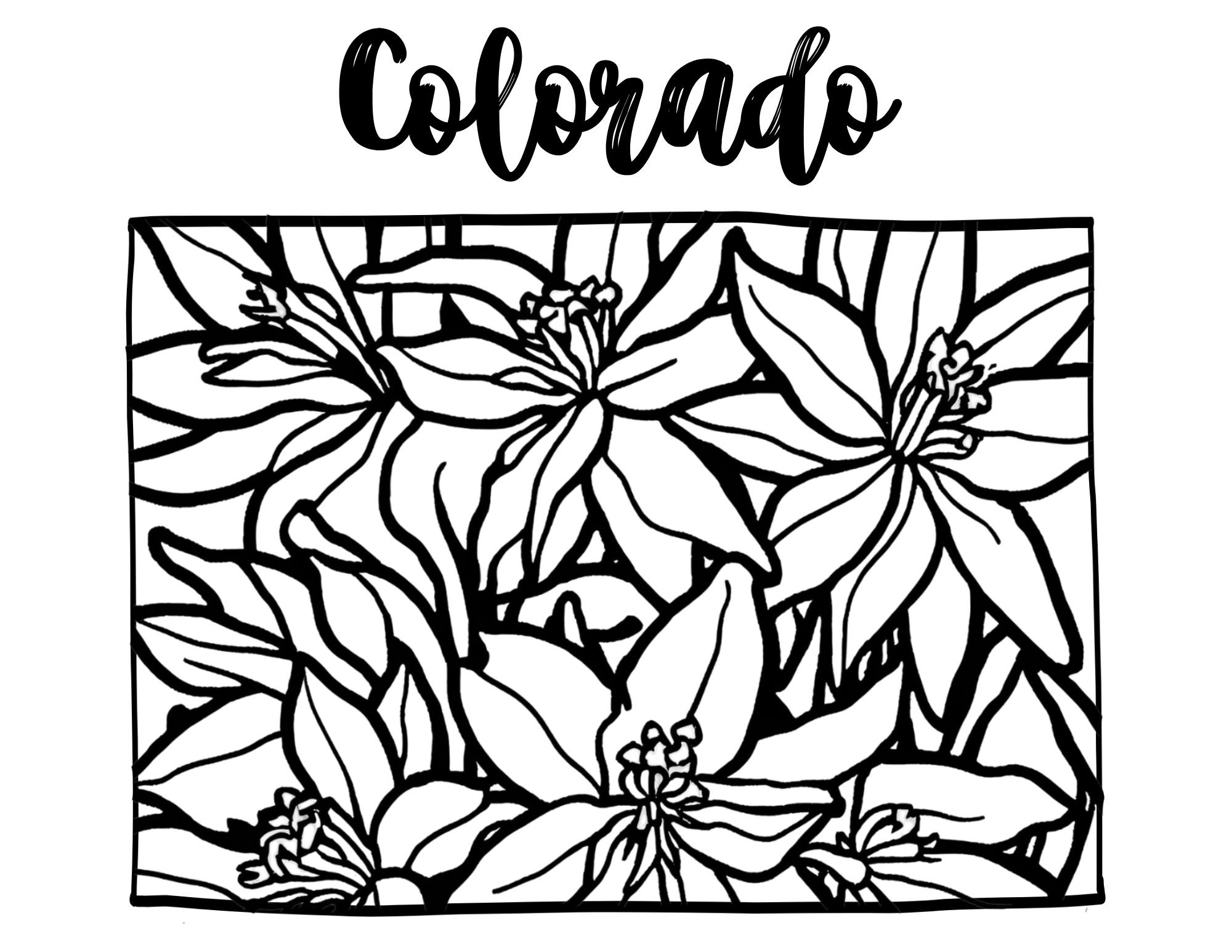 Colorado State Adult Coloring Sheet Featuring the State Flower ...
