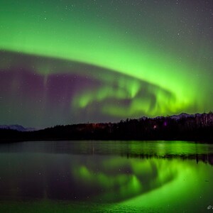 Aurora Borealis Dancing above Cornelius Lake Wasilla, Ak