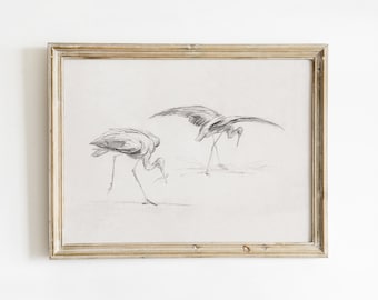 Cranes on Shore Sketch Art, Coastal Birds Wall Decor, Vintage Charcoal Drawing, Beach House Artwork | DIGITAL PRINTABLE