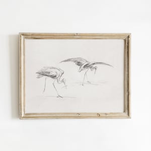 Cranes on Shore Sketch Art, Coastal Birds Wall Decor, Vintage Charcoal Drawing, Beach House Artwork | DIGITAL PRINTABLE