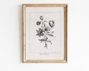 Vintage Floral Artwork Black & White Anemone Etching Flower Bouquet Drawing Simple Artwork Neutral Minimalist Aesthetic DIGITAL PRINTABLE