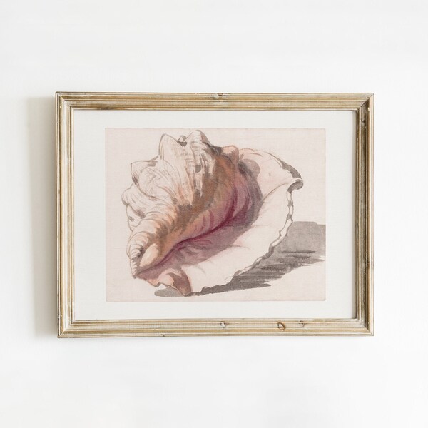 Antique Conch Shell Watercolor Painting | Decorative Seashell Art Print | Beachy Art | Boho Beach House Decor | DIGITAL PRINTABLE