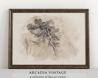 Moody Tree Drawing | Vintage Black & White Sketch Art | Neutral Wall Decor | DIGITAL PRINTABLE