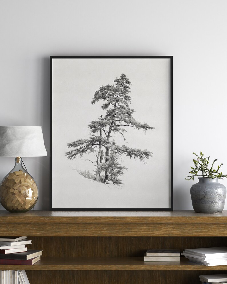 Vintage cedar tree charcoal drawing in black and white. Perfect for mountain lodge or forest cabin decor. Download, print, and frame!