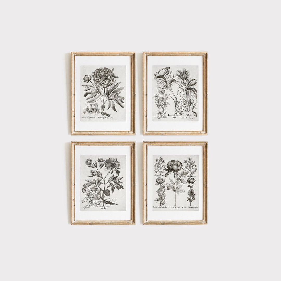 Vintage Botanical Gallery Wall Print SET of Four | Black & White Floral ...