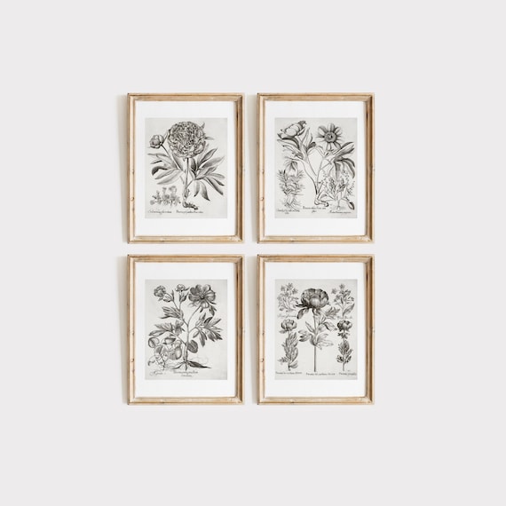 Vintage Botanical Gallery Wall Print SET of Four | Black