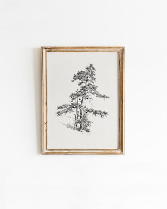 Cedar Tree Drawing, Vintage Charcoal Sketch Artwork,  Black and White Aesthetic, PRINTABLE Forest Cabin Wall Decor | DIGITAL DOWNLOAD