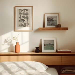 Vintage Shell Artwork, Black & White Seashell Art Print, Conchology ...