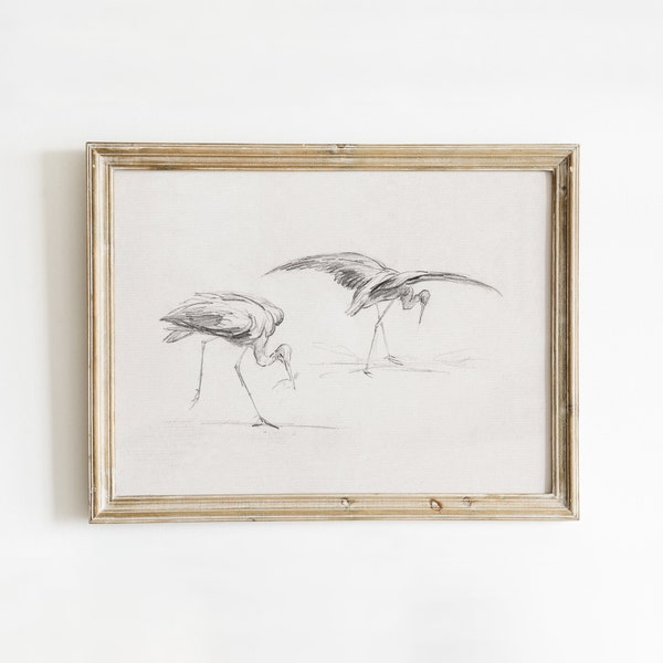 Cranes on Beach Sketch Art Coastal Birds Wall Decor Vintage Charcoal Drawing Beach House Art Print DIGITAL PRINTABLE