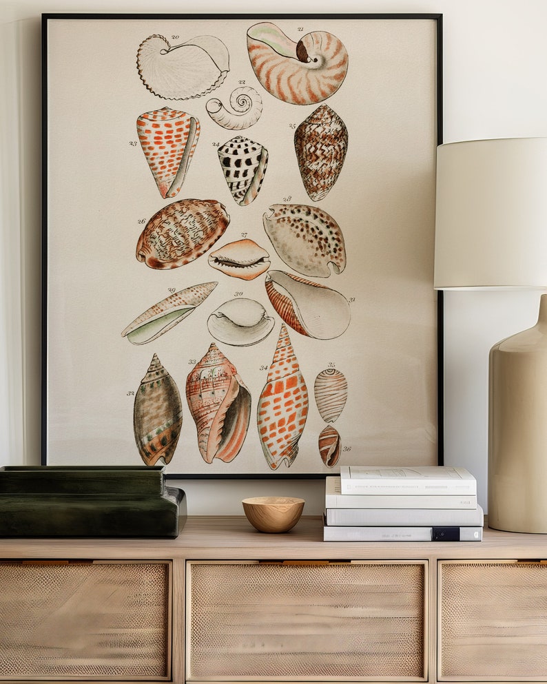 Vintage Shell Artwork, Art Gallery SET of Two Seashell Watercolor ...