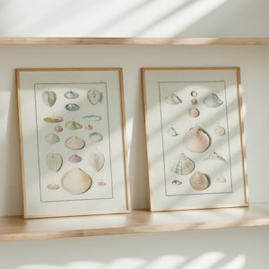 Vintage Seashell Artwork, Gallery SET of 2 Shell Watercolor Paintings, Beachy Room Decor, Pastel Preppy Art | DIGITAL PRINTABLE