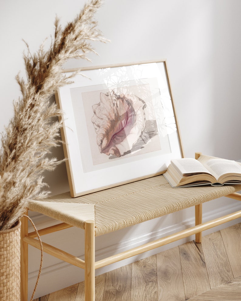 Antique Conch Shell Watercolor Painting, Decorative Seashell Art Print ...