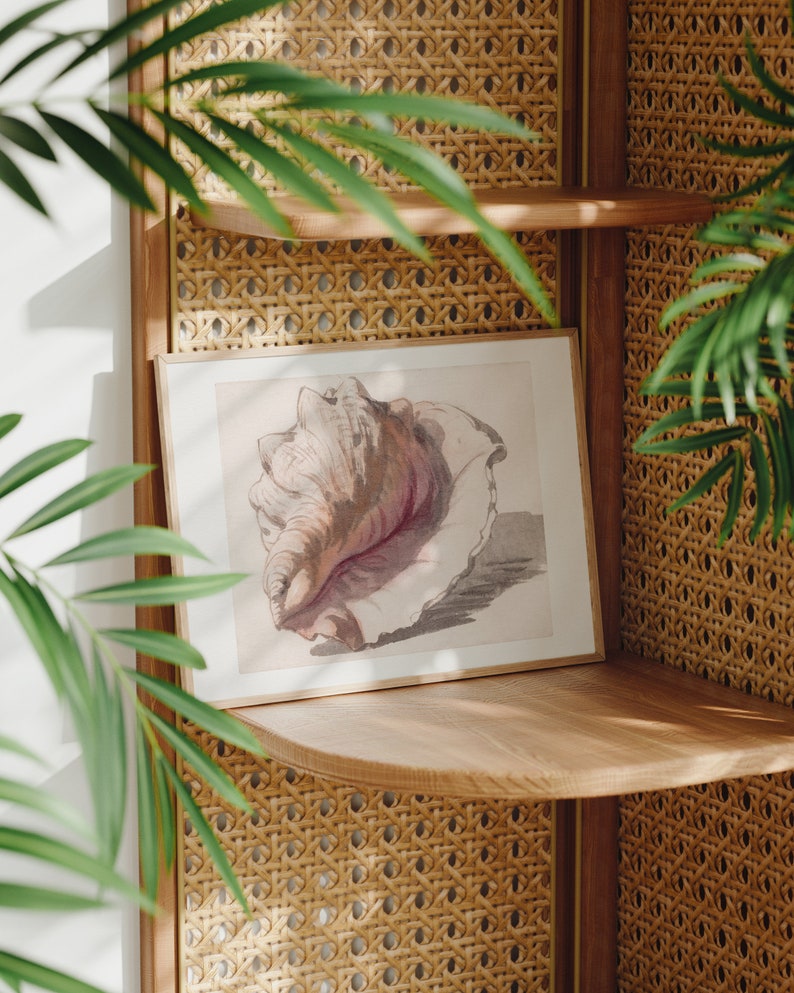 Antique Conch Shell Watercolor Painting, Decorative Seashell Art Print ...
