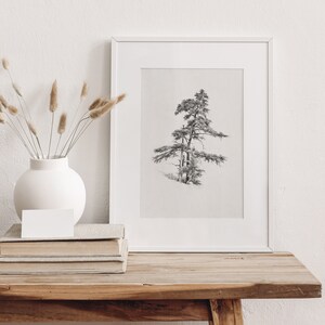 Vintage cedar tree charcoal drawing in black and white. Perfect for mountain lodge or forest cabin decor. Download, print, and frame!