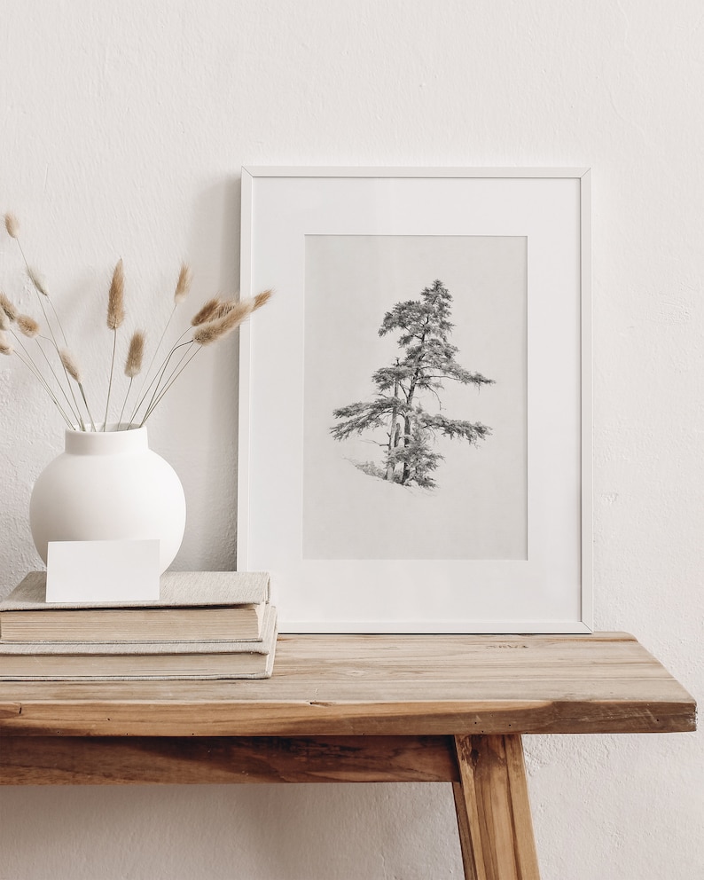 Vintage cedar tree charcoal drawing in black and white. Perfect for mountain lodge or forest cabin decor. Download, print, and frame!