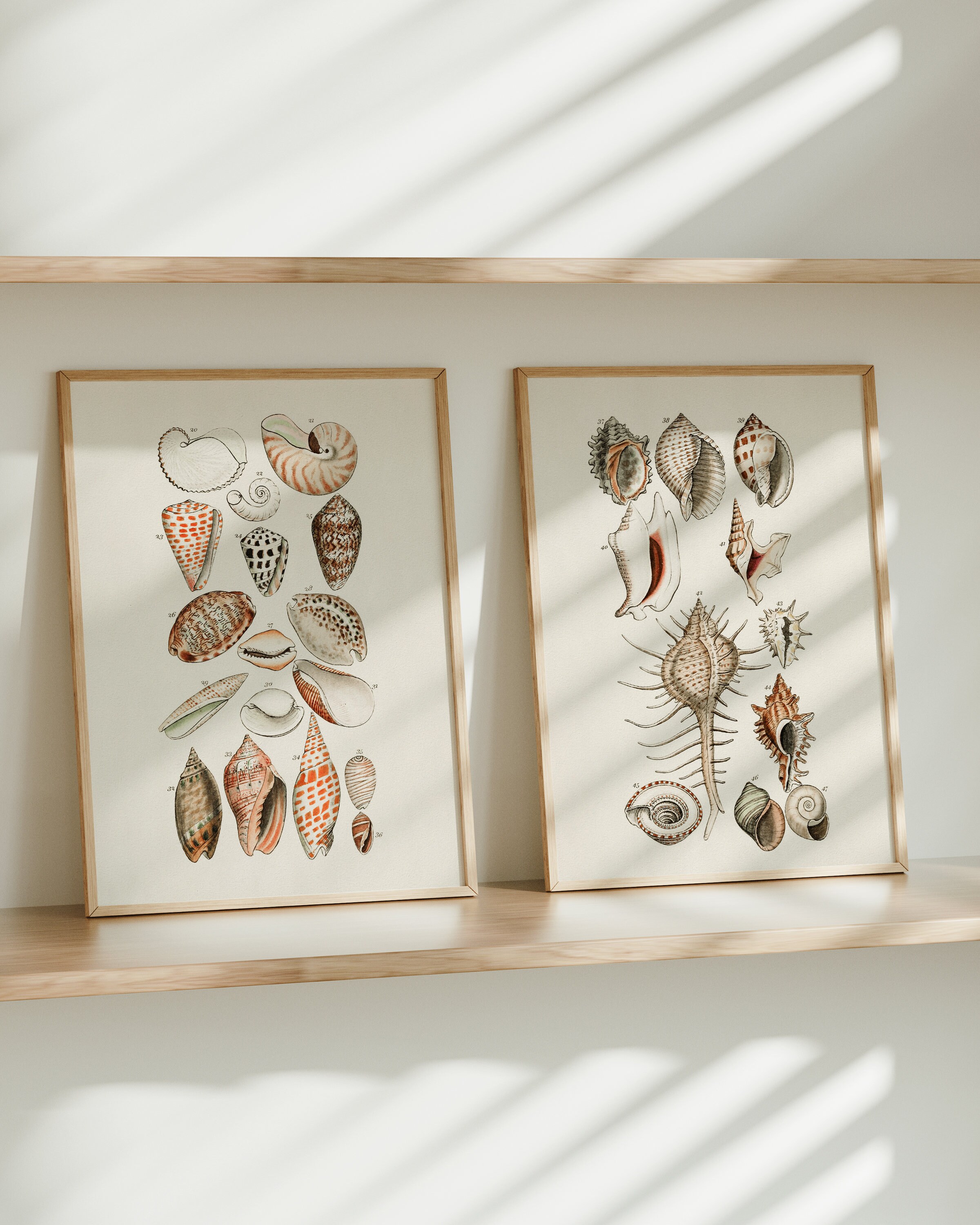 カヴァリーニのポスター - Etsy 日本