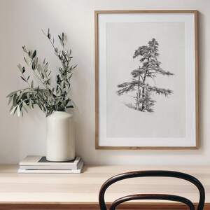 Vintage cedar tree charcoal drawing in black and white. Perfect for mountain lodge or forest cabin decor. Download, print, and frame!