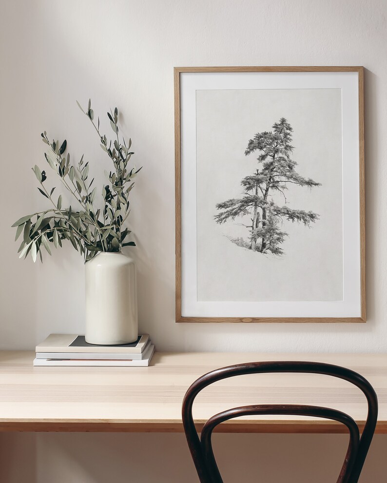 Vintage cedar tree charcoal drawing in black and white. Perfect for mountain lodge or forest cabin decor. Download, print, and frame!
