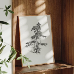 Vintage cedar tree charcoal drawing in black and white. Perfect for mountain lodge or forest cabin decor. Download, print, and frame!